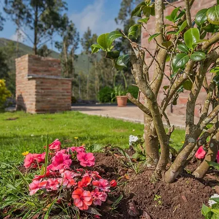 Casa Manuela, A 8 Km De La Playa Vv-1966-as